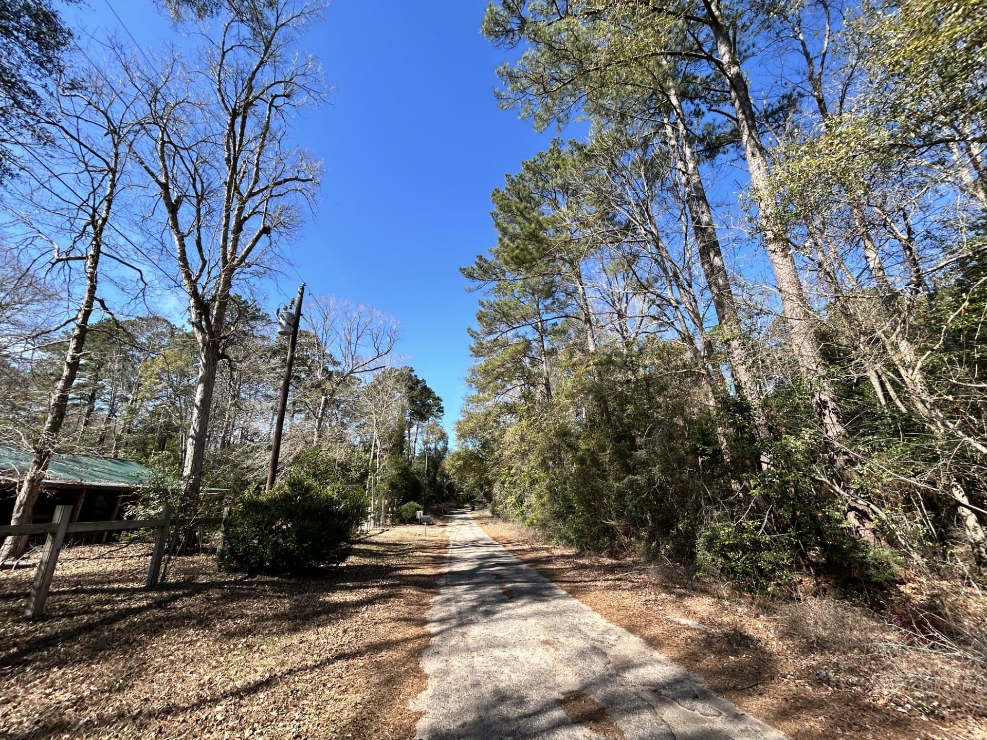 0.19 acres in Tyler County - photo 3