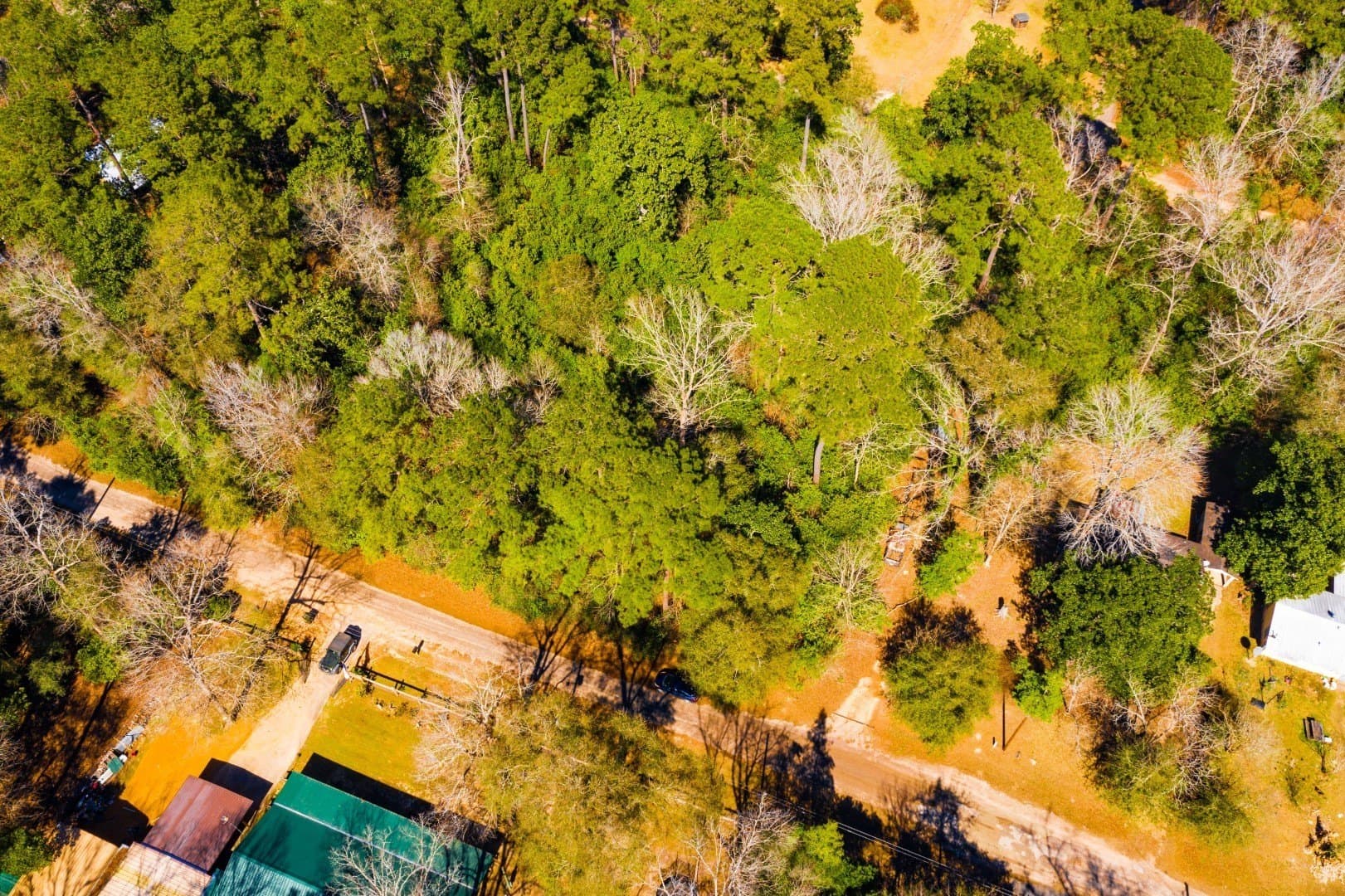 0.19 acres in Tyler County - photo 9