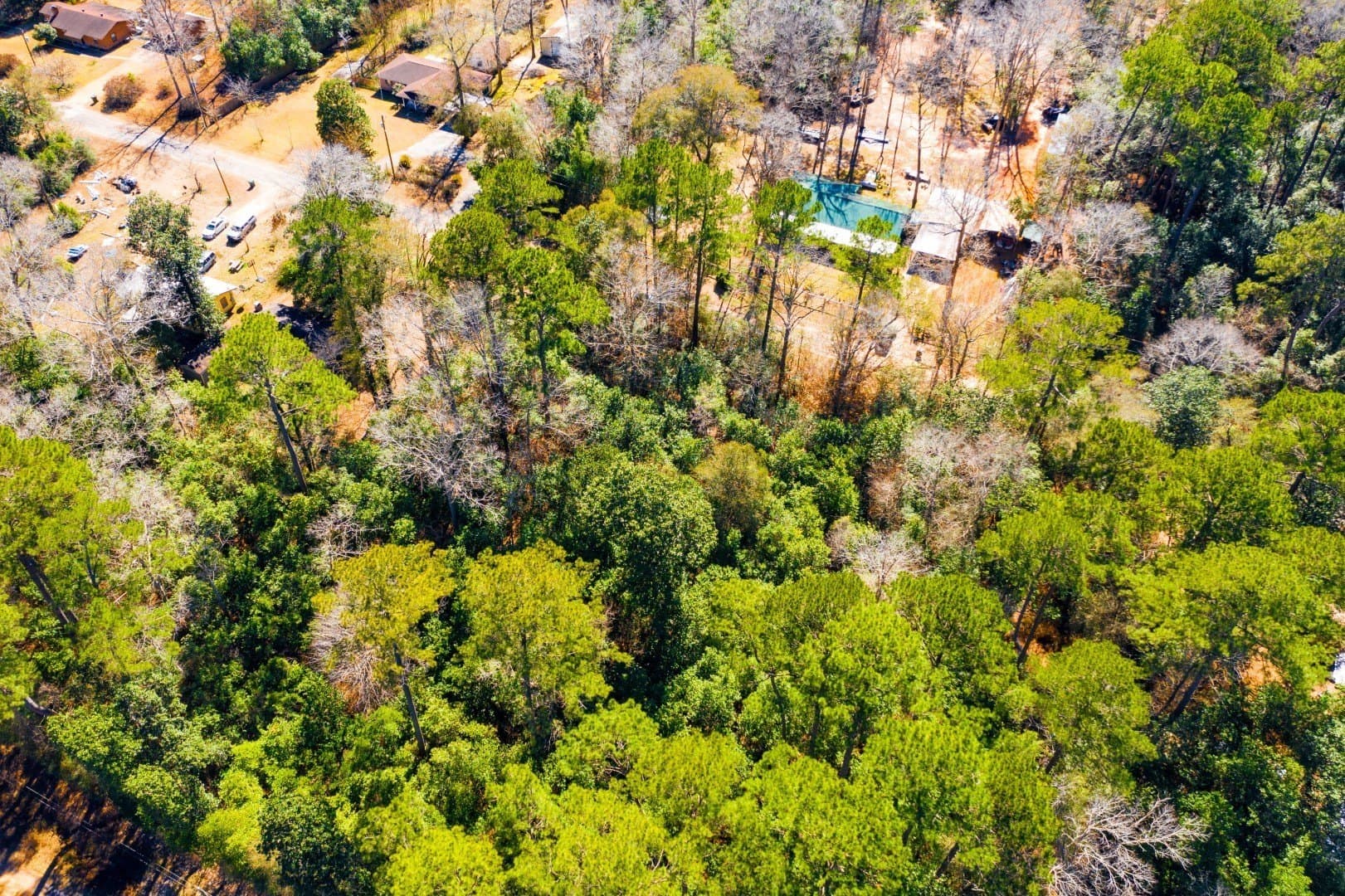 0.19 acres in Tyler County - photo 17