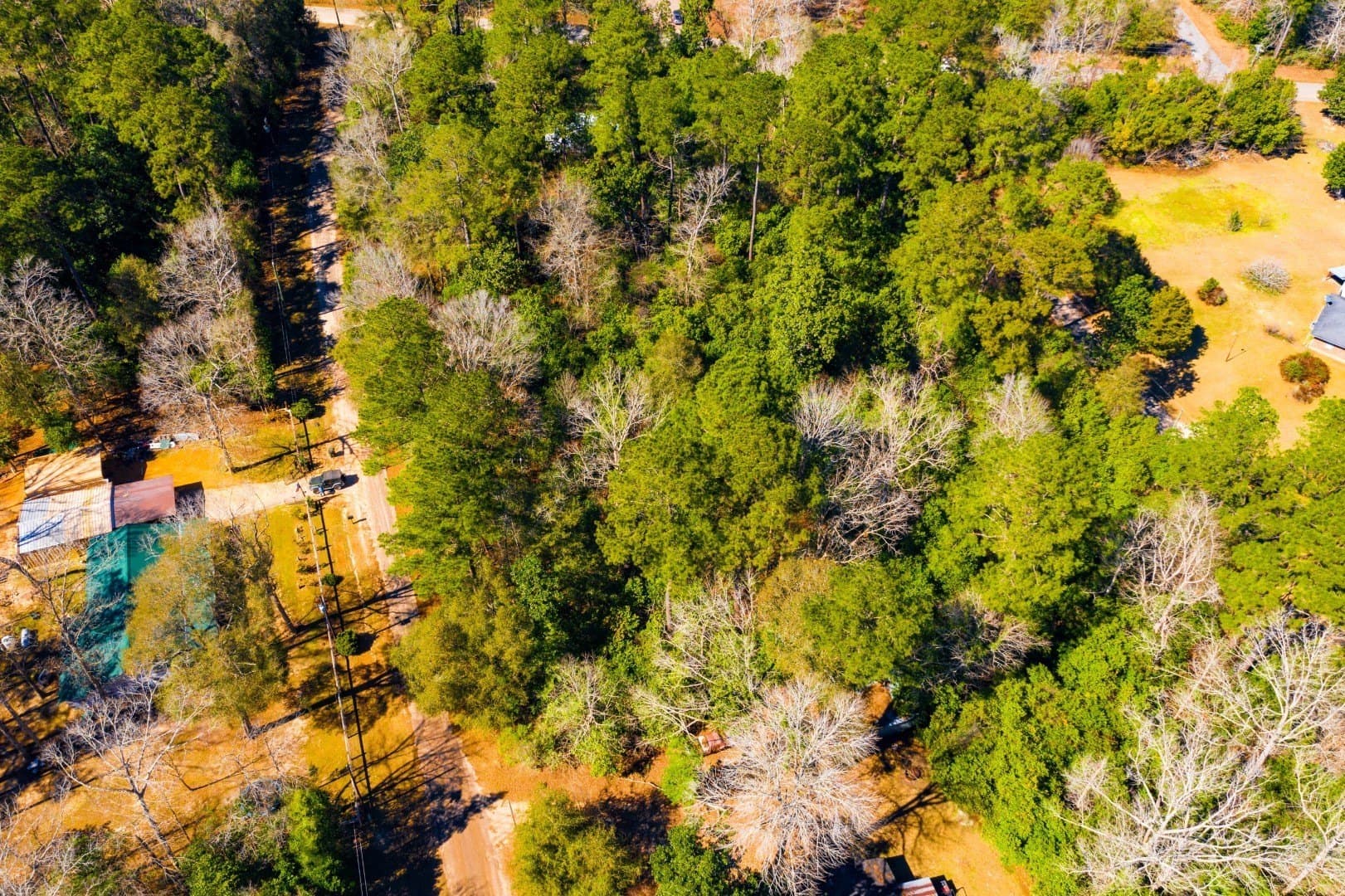 0.19 acres in Tyler County - photo 11