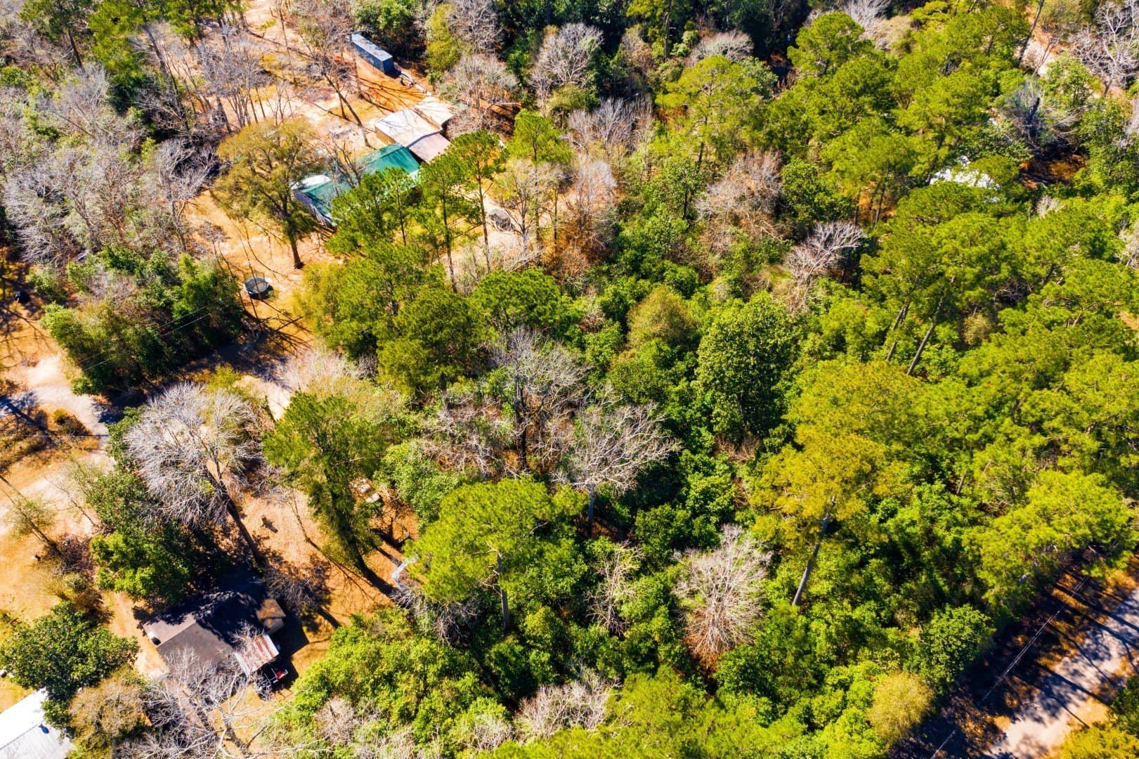 0.19 acres in Tyler County - photo 14