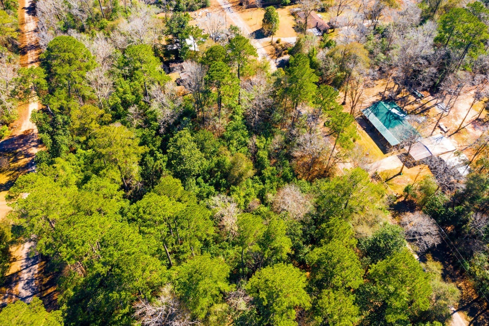 0.19 acres in Tyler County - photo 19