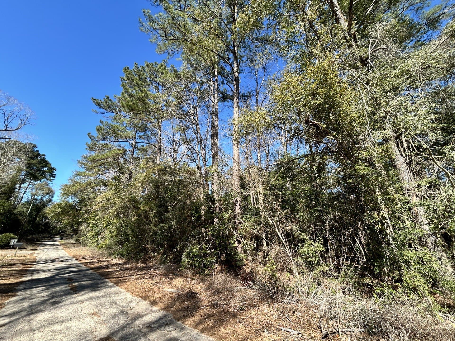 0.19 acres in Tyler County - photo 8