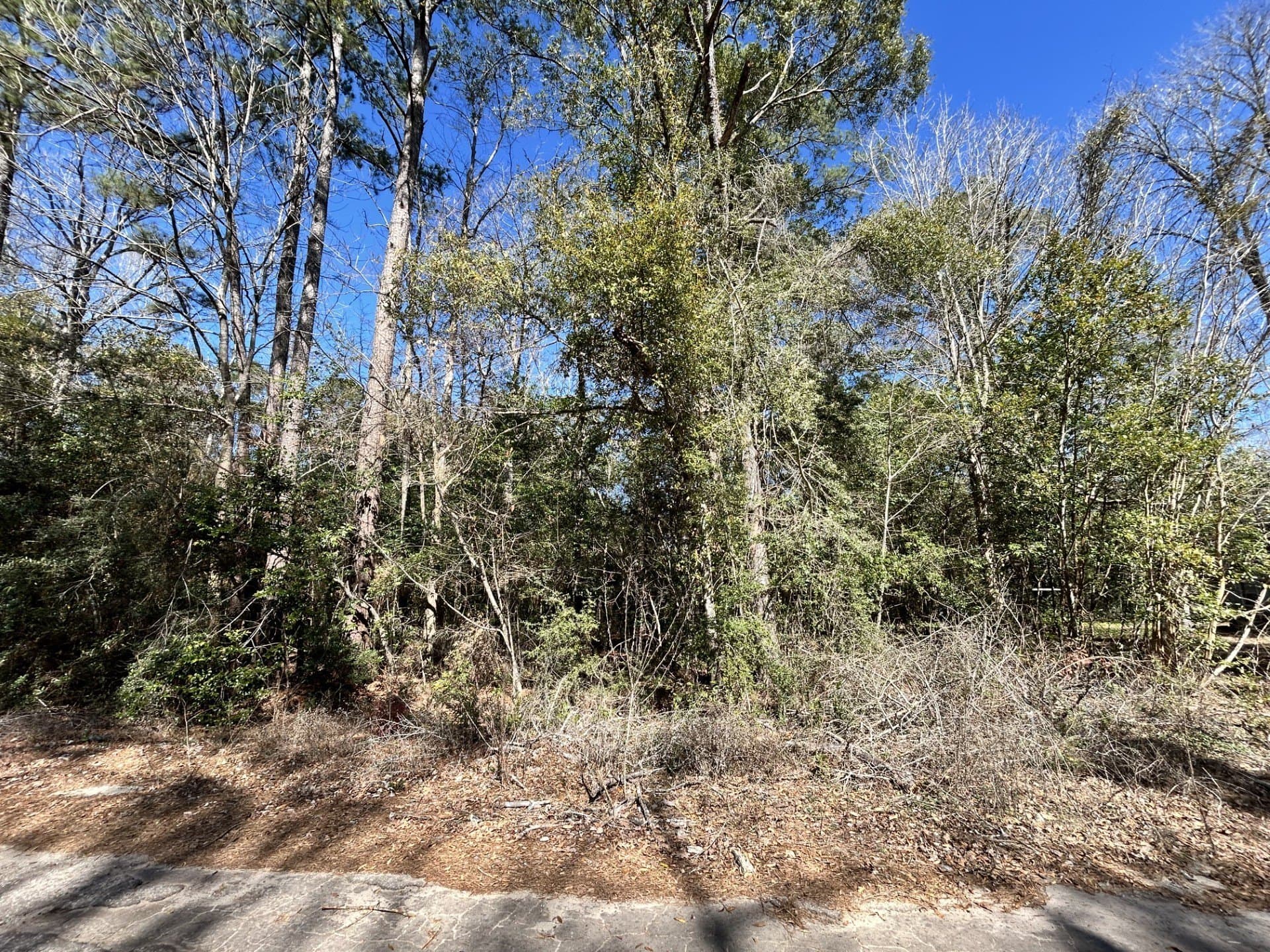 0.19 acres in Tyler County - photo 7