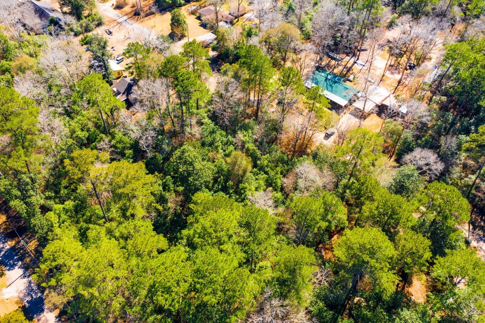 0.19 acres in Tyler County - photo 18