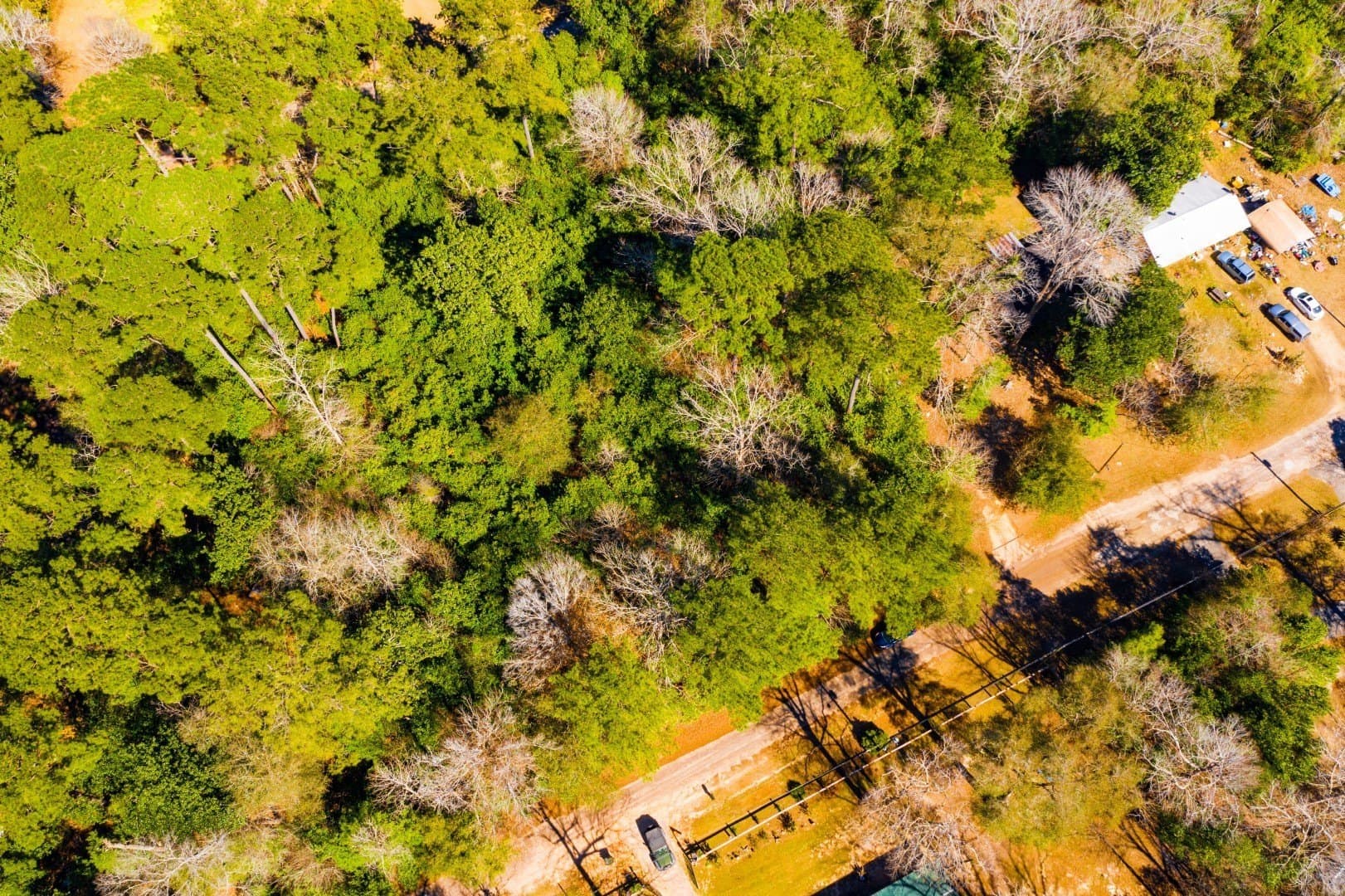 0.19 acres in Tyler County - photo 23