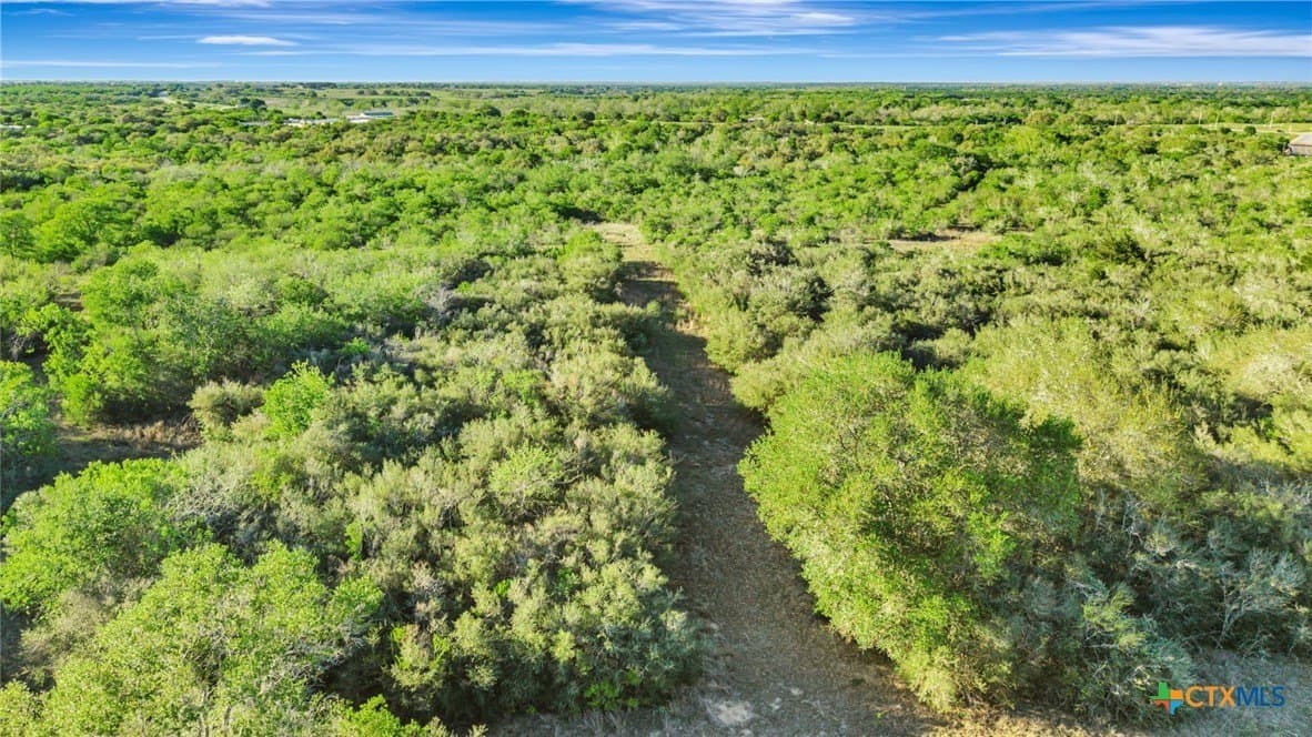 123.66 acres in DeWitt County - photo 10
