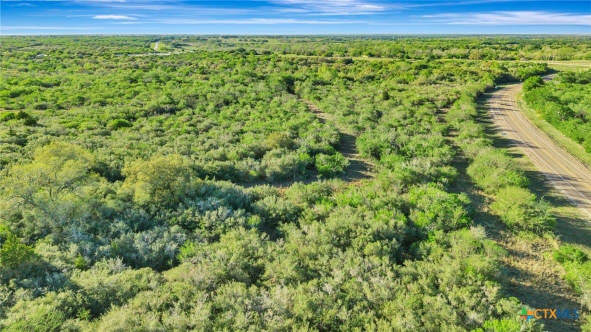 123.66 acres in DeWitt County - photo 9