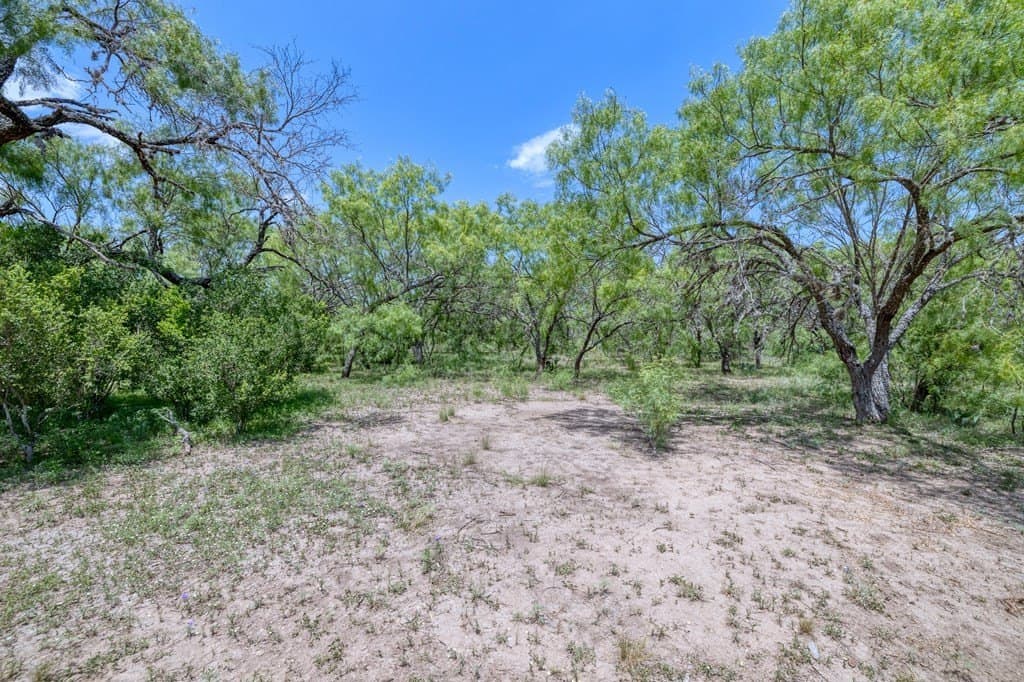 5.16 acres in Real County - photo 7
