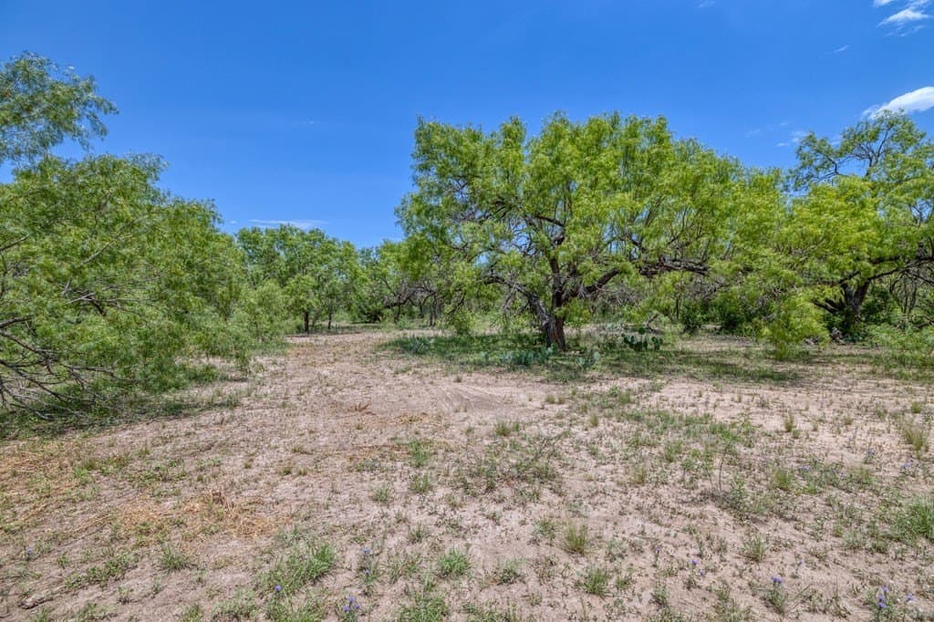 5.16 acres in Real County - photo 8