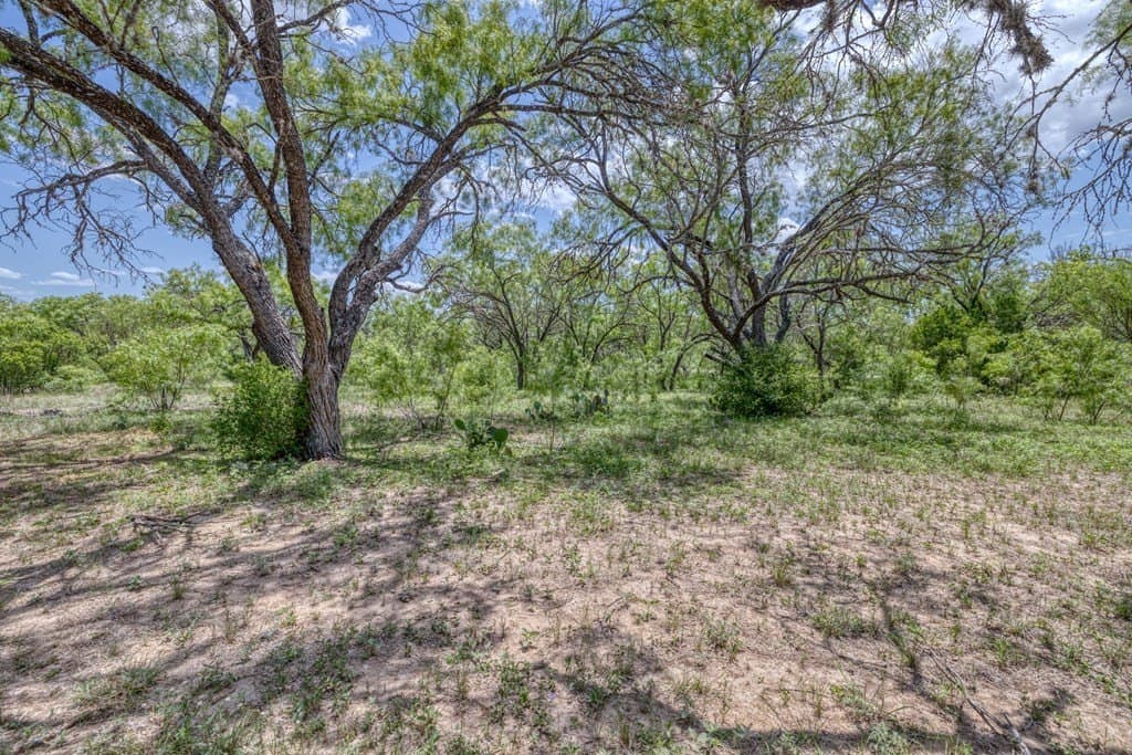 5.16 acres in Real County featured view
