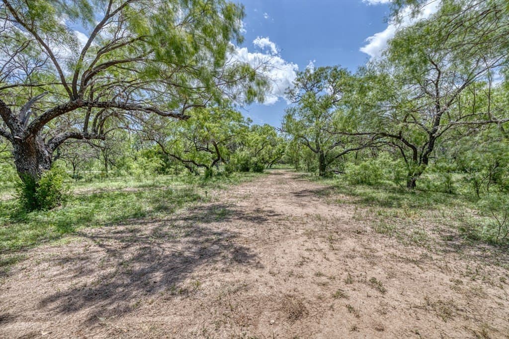 5.16 acres in Real County gallery image 4