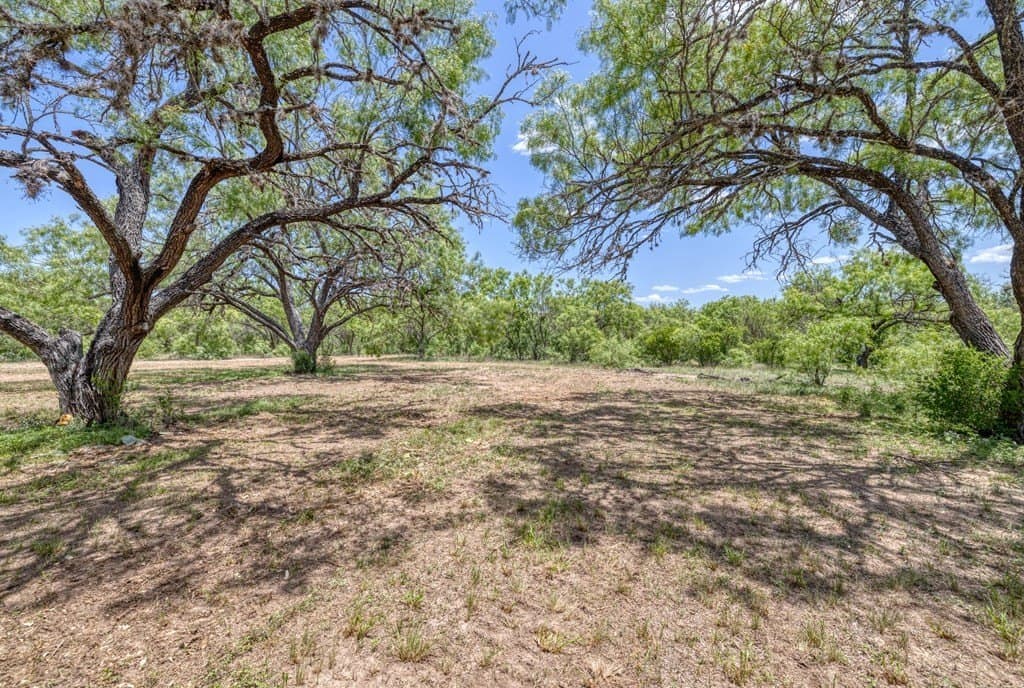5.16 acres in Real County gallery image 2