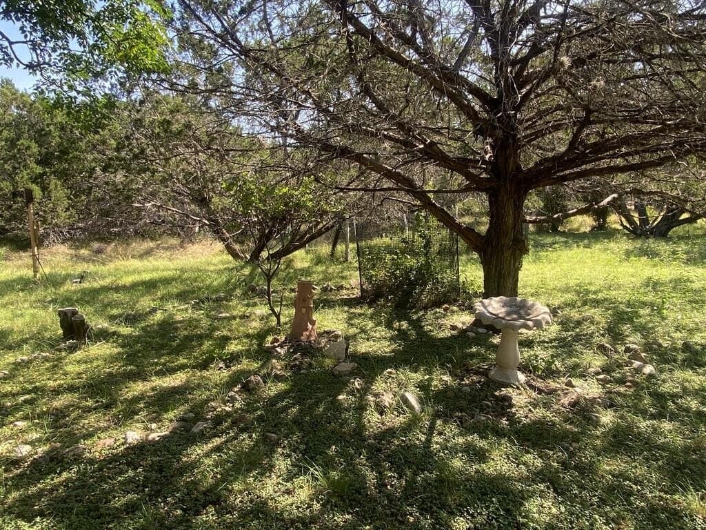 0.59 acres in Real County - photo 13
