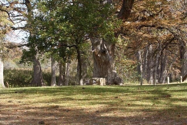 0.59 acres in Real County - photo 29