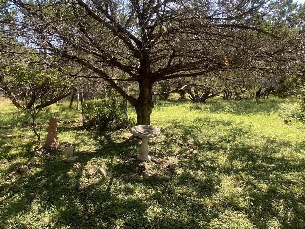 0.59 acres in Real County - photo 14