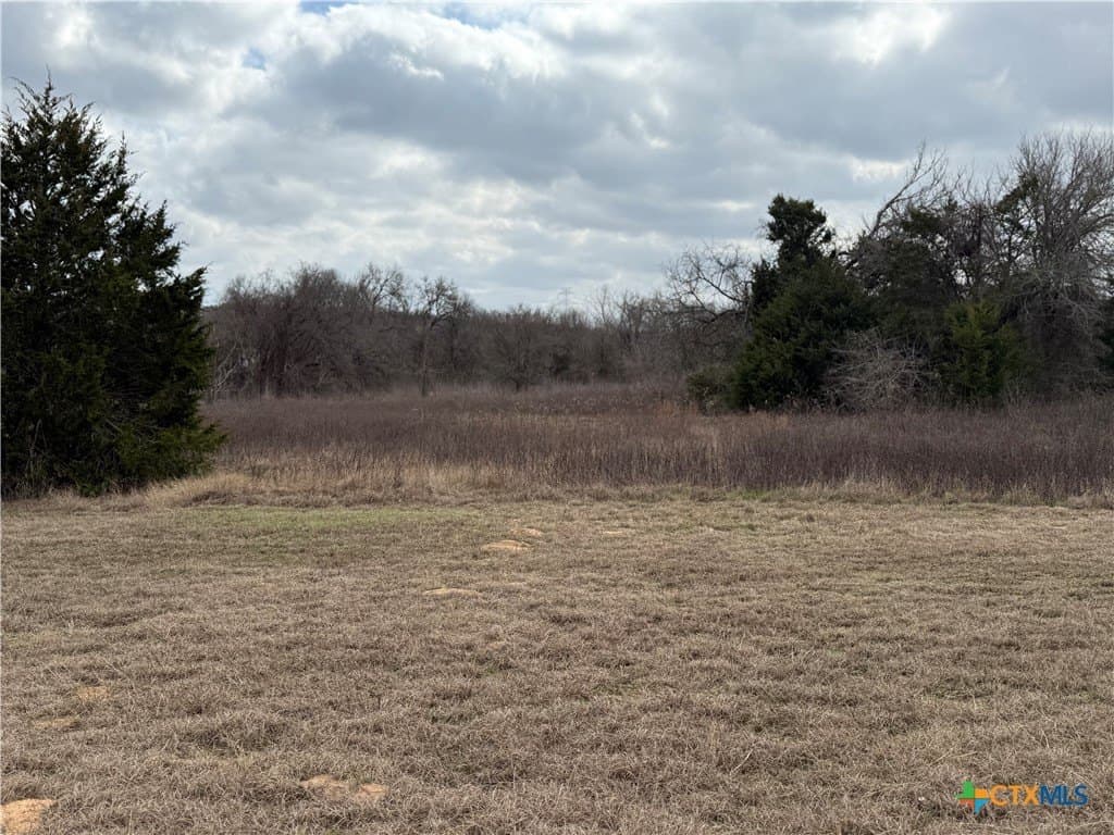 19.35 acres in Williamson County - photo 28