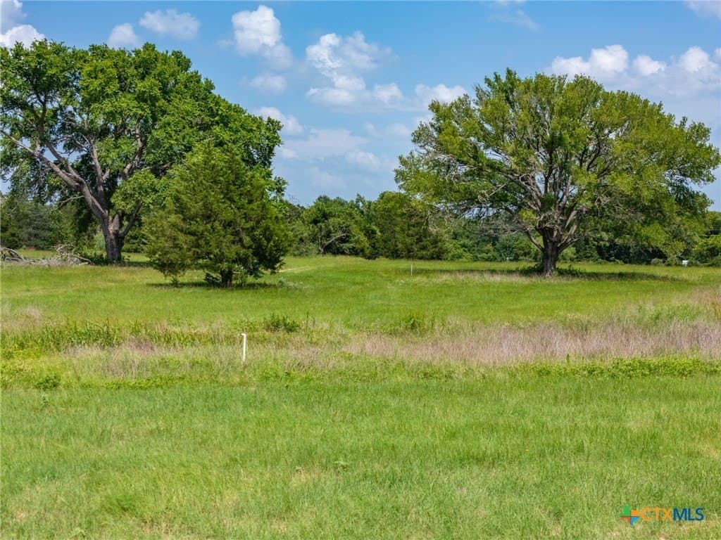 19.35 acres in Williamson County - photo 19