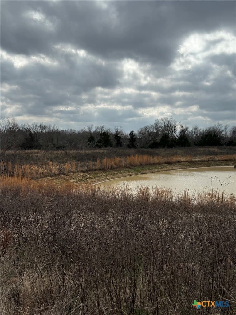 19.35 acres in Williamson County - photo 32