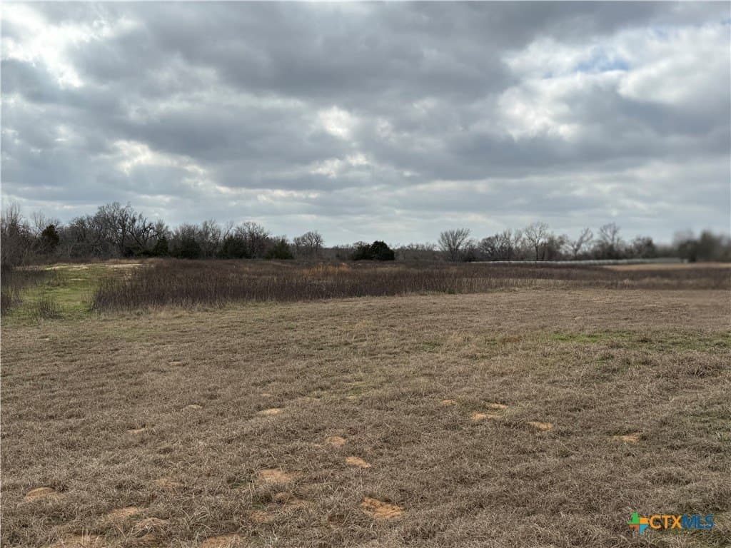 19.35 acres in Williamson County - photo 29