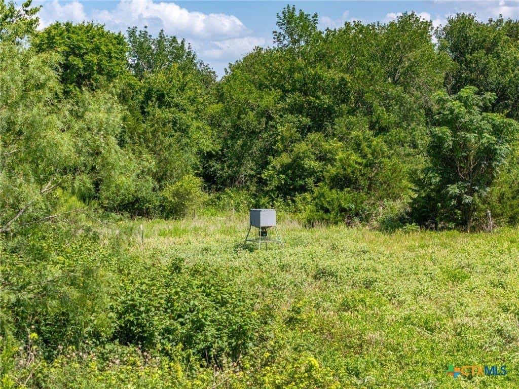 19.35 acres in Williamson County - photo 21