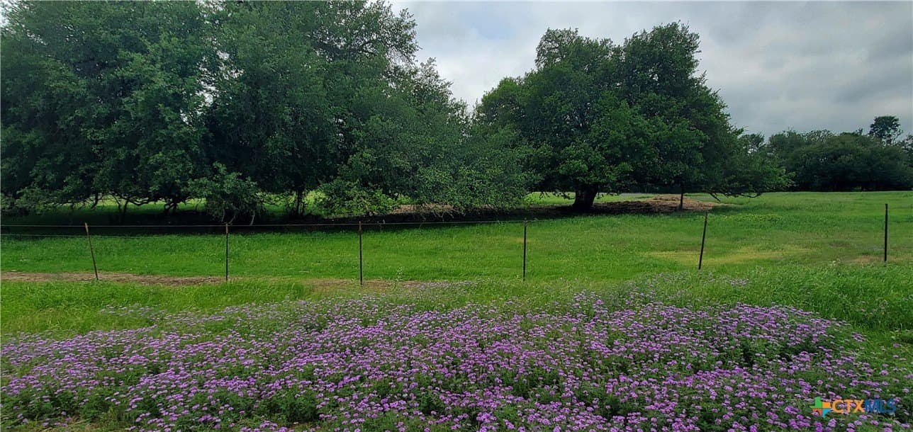 117.65 acres in Bell County - photo 22