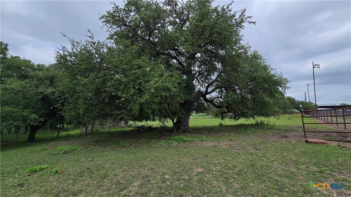 117.65 acres in Bell County - photo 40