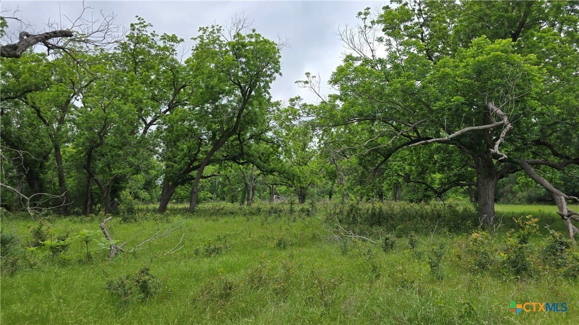 117.65 acres in Bell County - photo 25