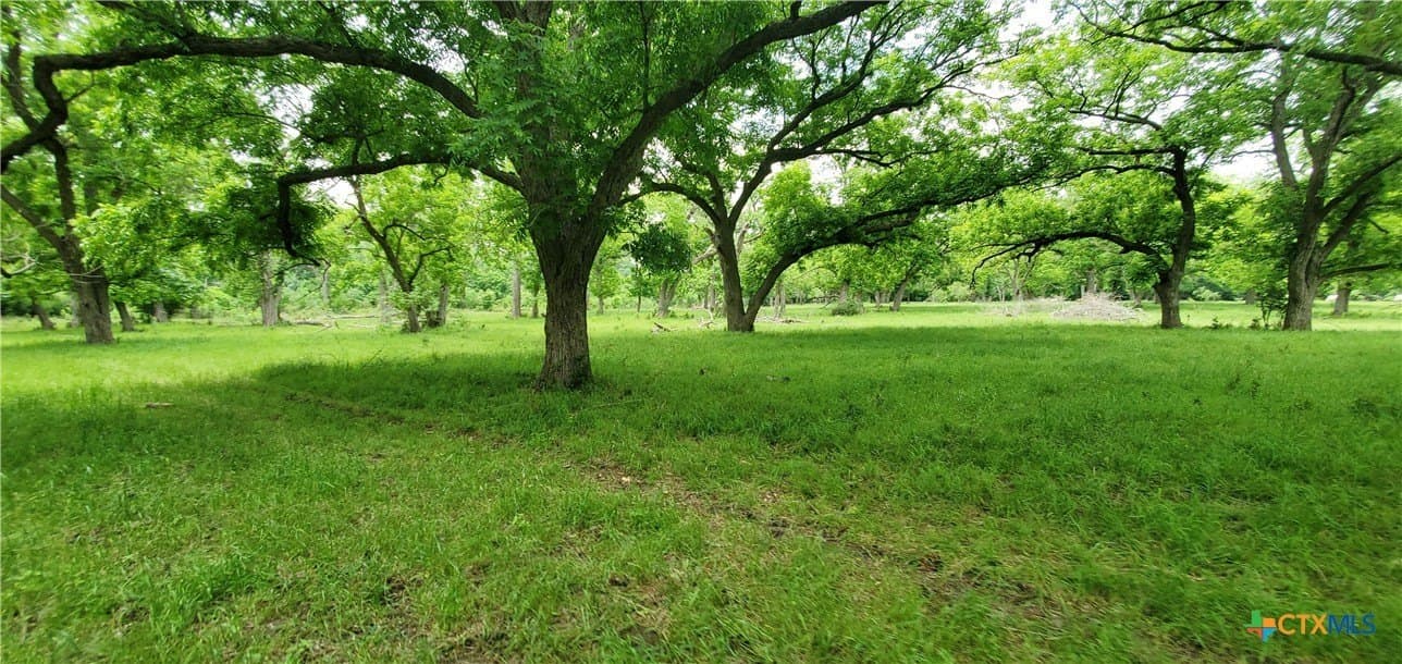 117.65 acres in Bell County - photo 34