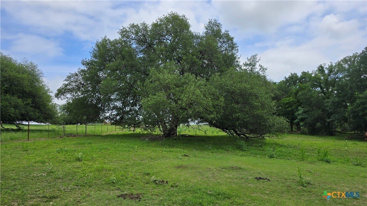 117.65 acres in Bell County - photo 38