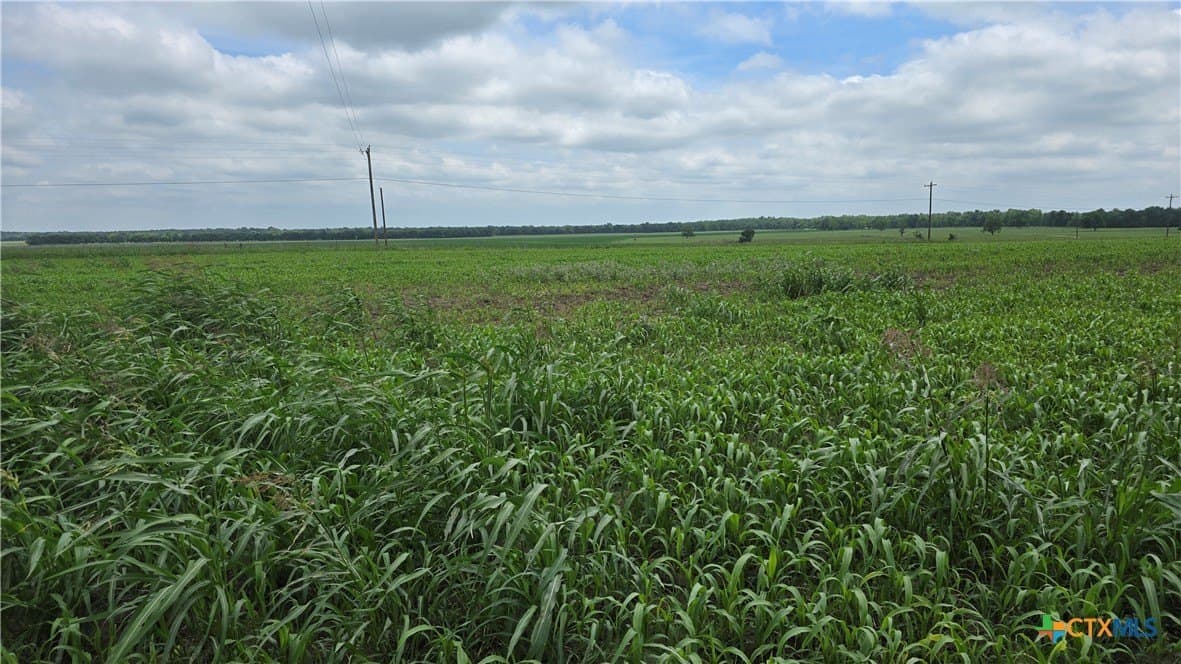 117.65 acres in Bell County - photo 43