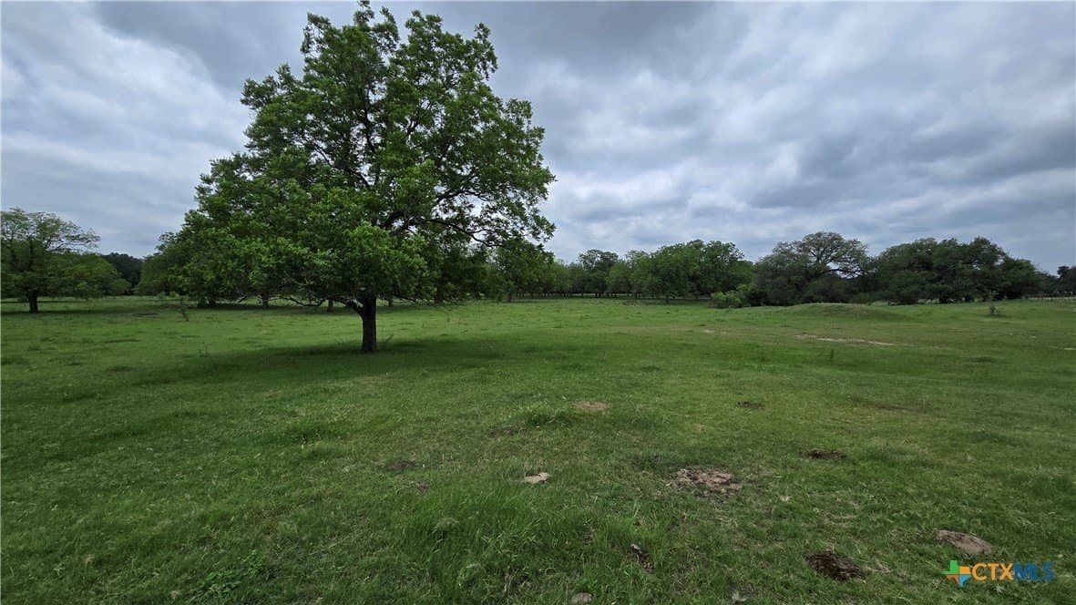 117.65 acres in Bell County - photo 37