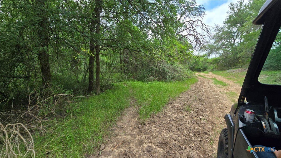 117.65 acres in Bell County - photo 31