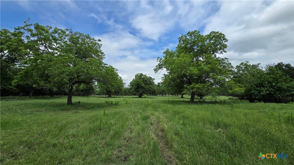 117.65 acres in Bell County - photo 35