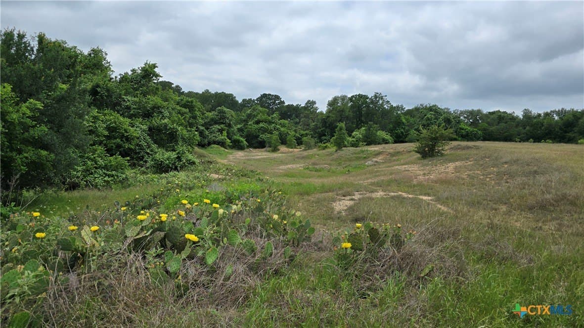 117.65 acres in Bell County - photo 26
