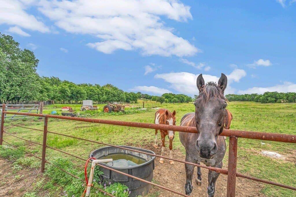17 acres in McLennan County - photo 24