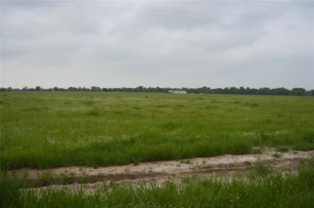 3 acres in Rains County featured view
