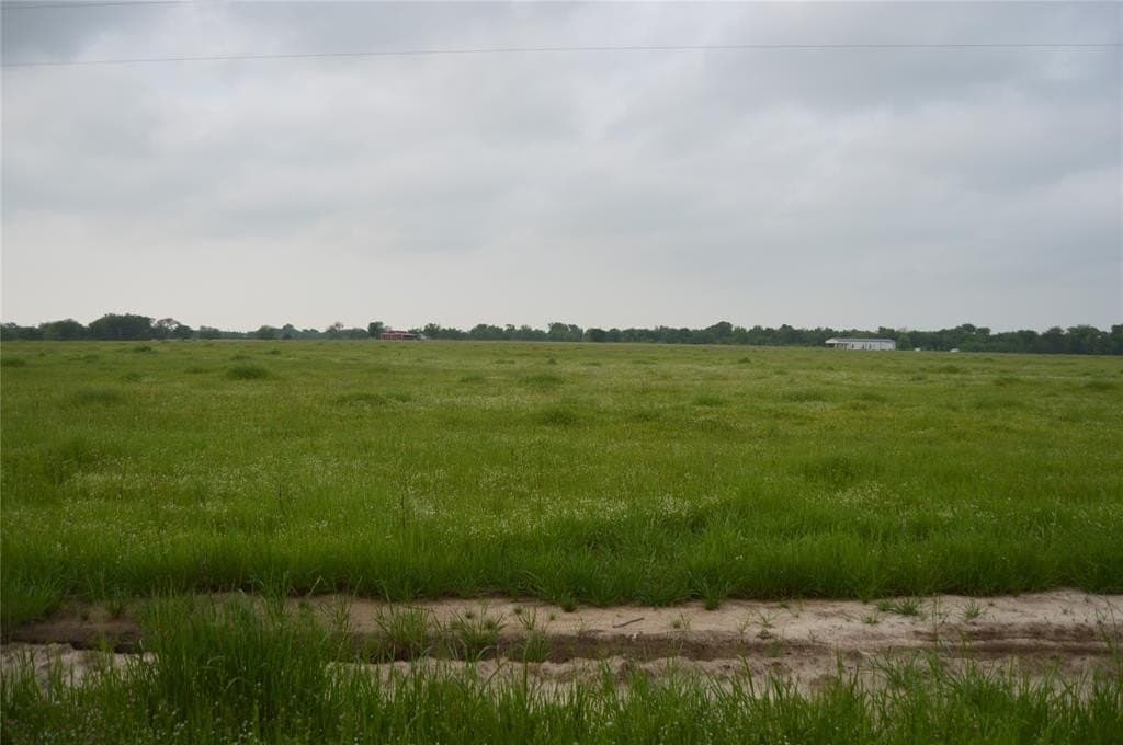 3 acres in Rains County gallery image 4