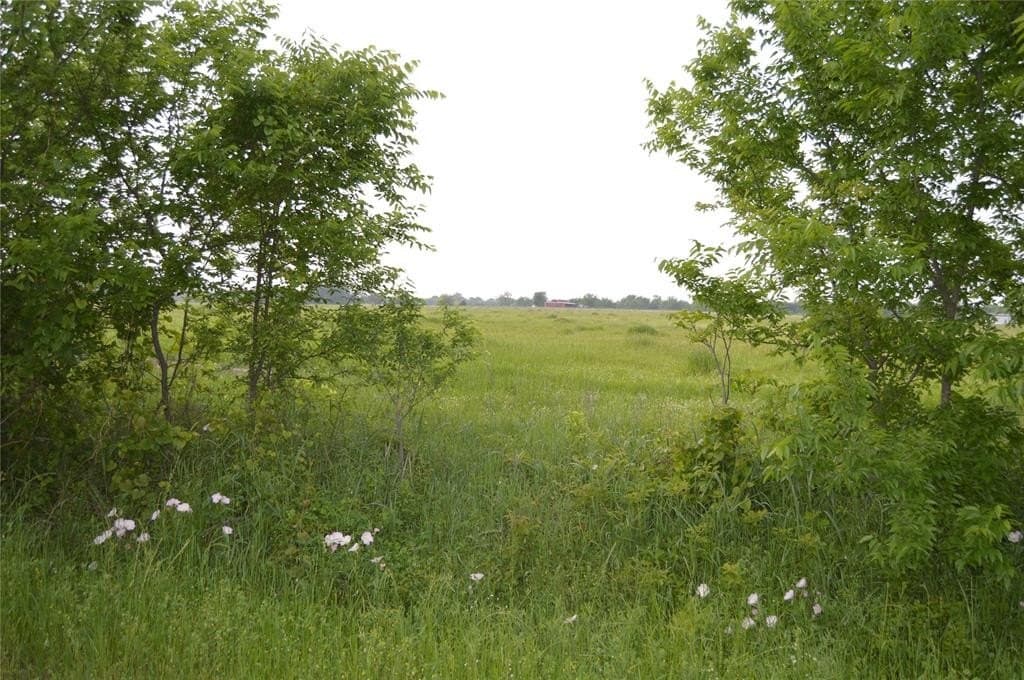 3 acres in Rains County