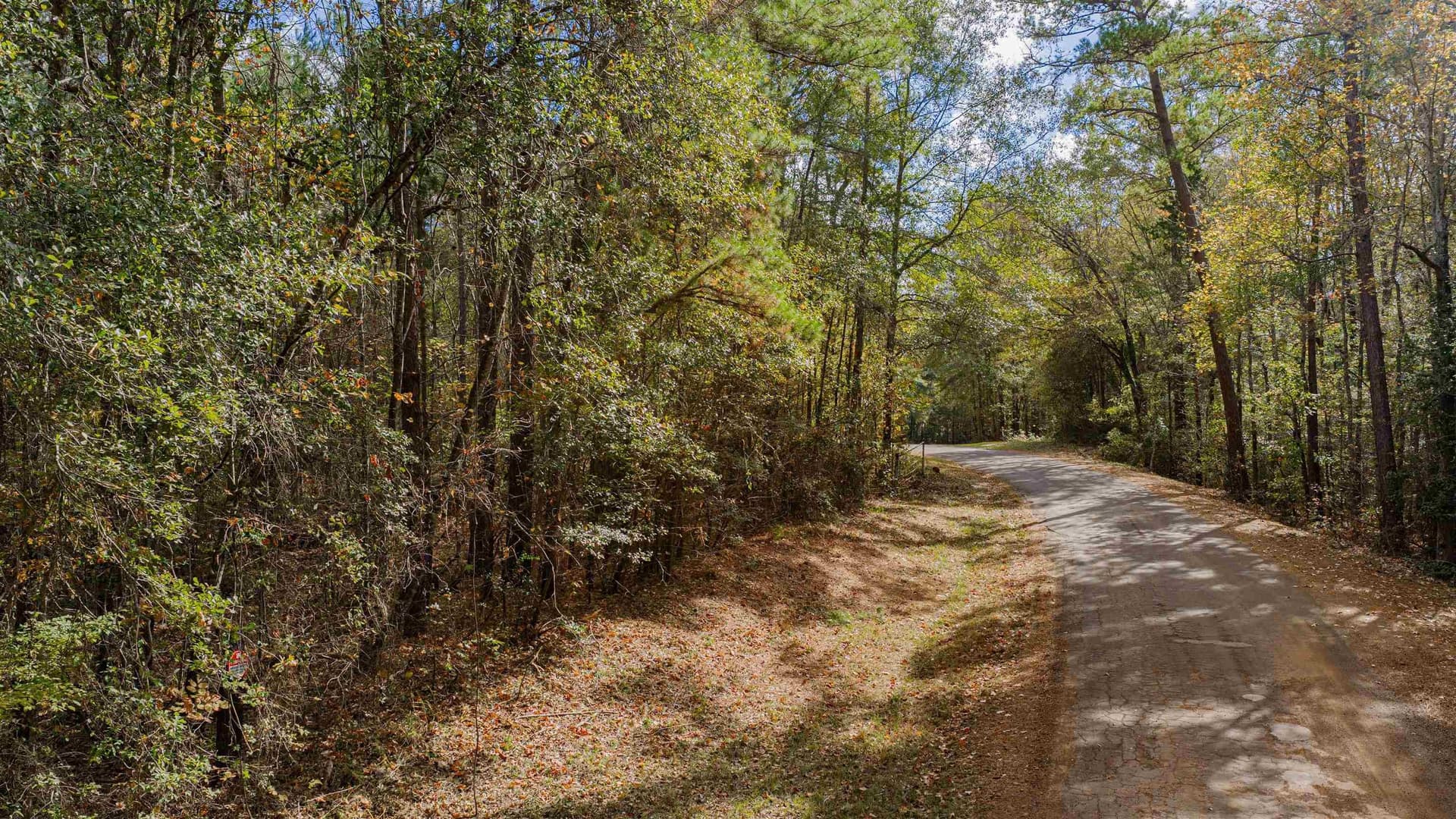 11.83 acres in Rusk County - photo 8