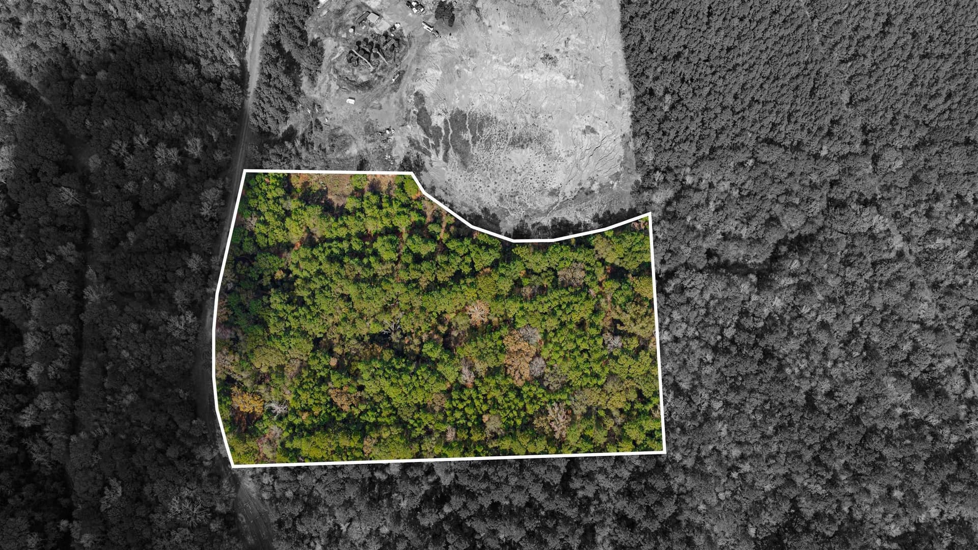 11.83 acres in Rusk County gallery image 4