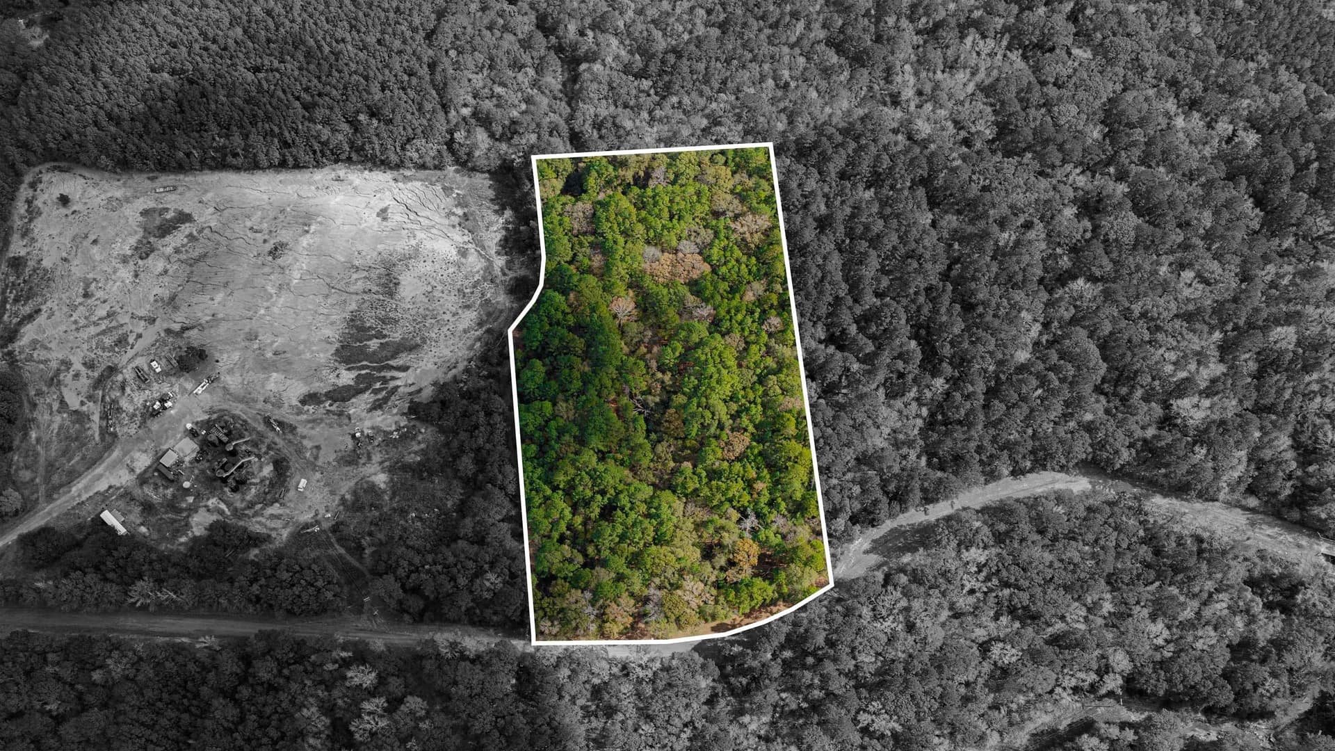11.83 acres in Rusk County gallery image 2