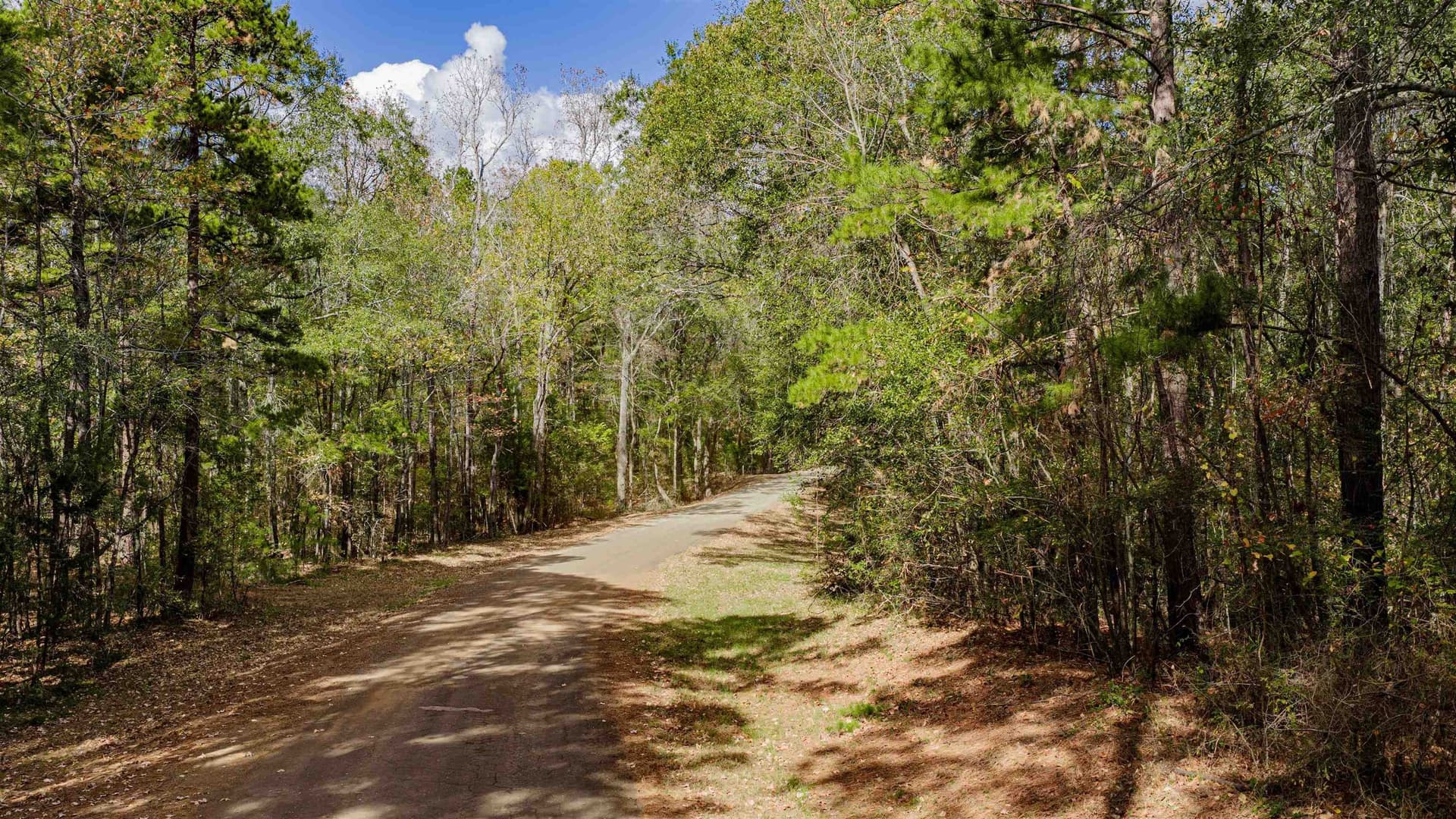 11.83 acres in Rusk County - photo 7
