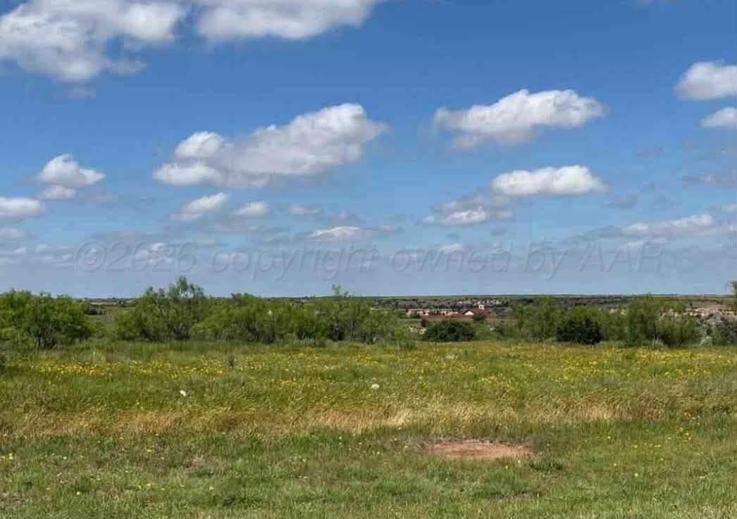 3.38 acres in Randall County - photo 9