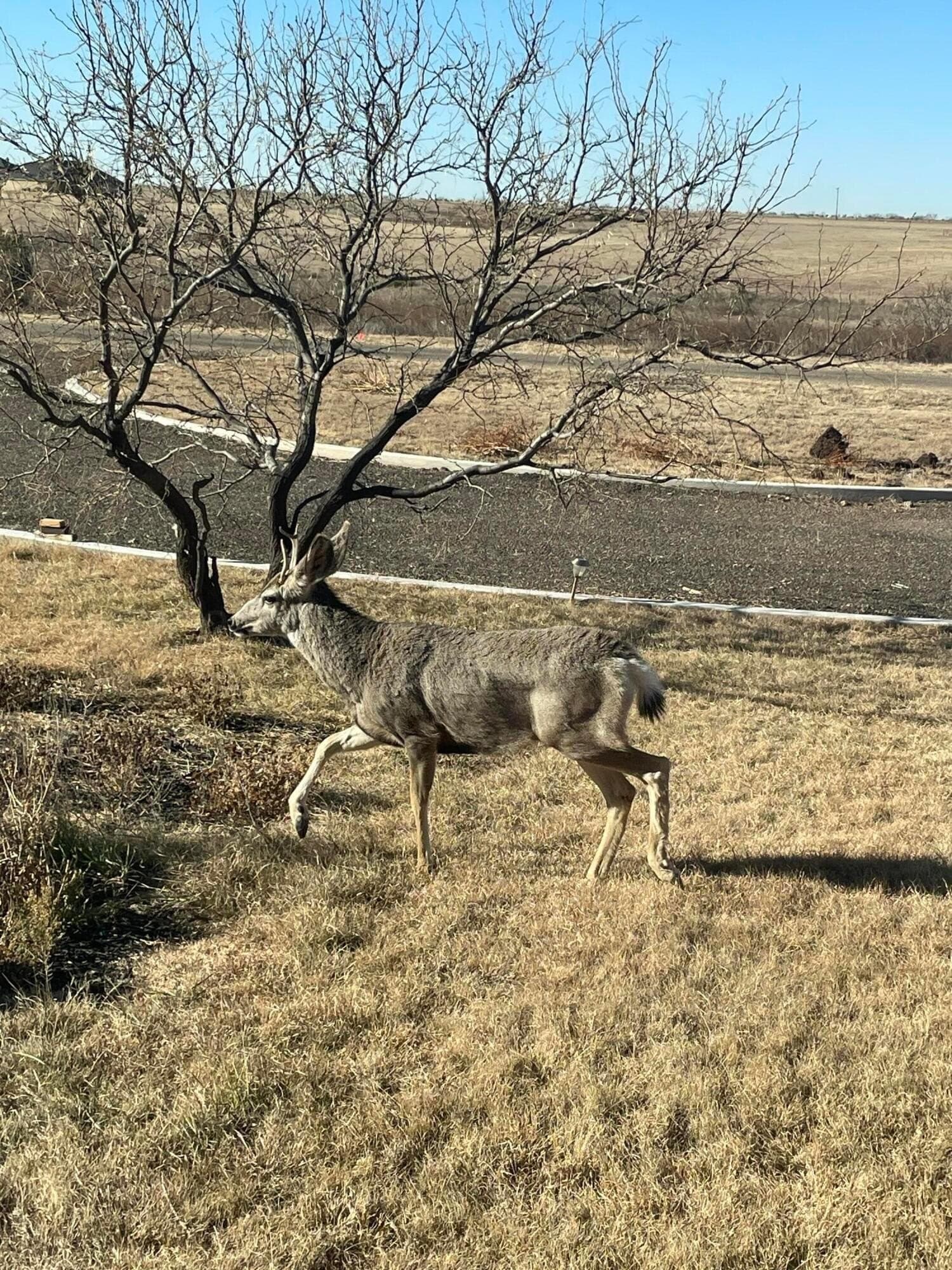 3.38 acres in Randall County - photo 14