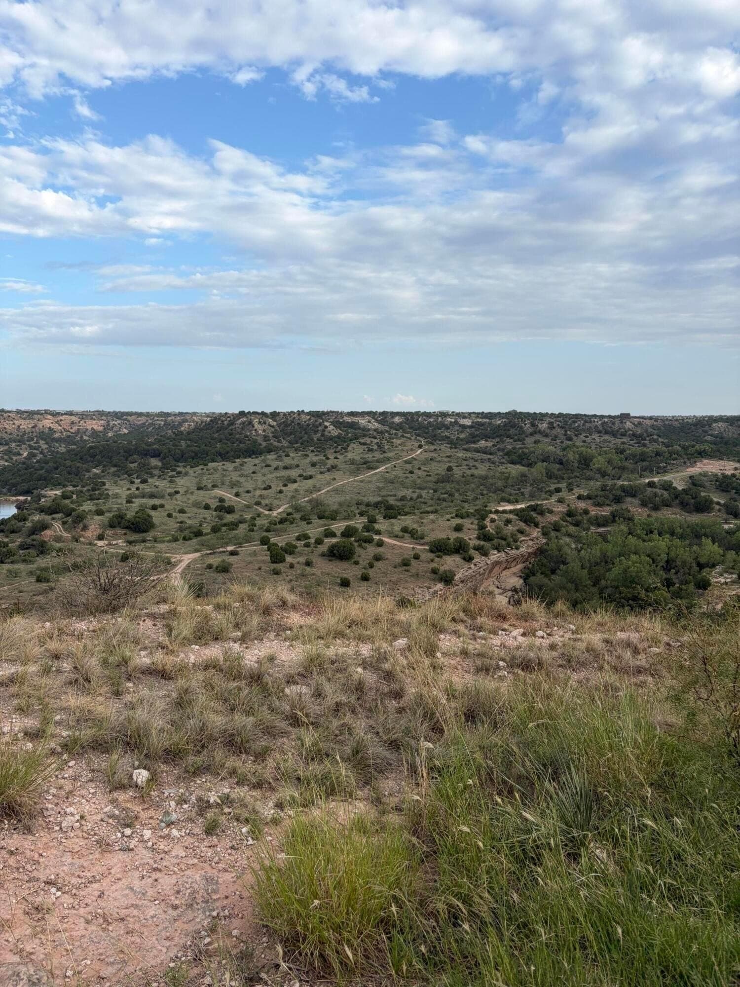 3.38 acres in Randall County - photo 18