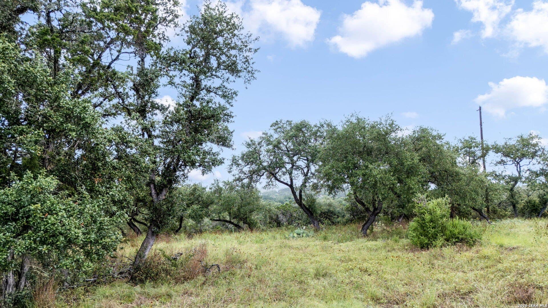 5.03 acres in Comal County gallery image 4