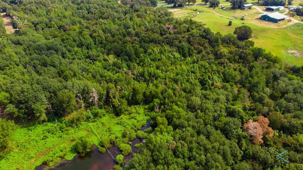 43.53 acres in HENDERSON County gallery image 4