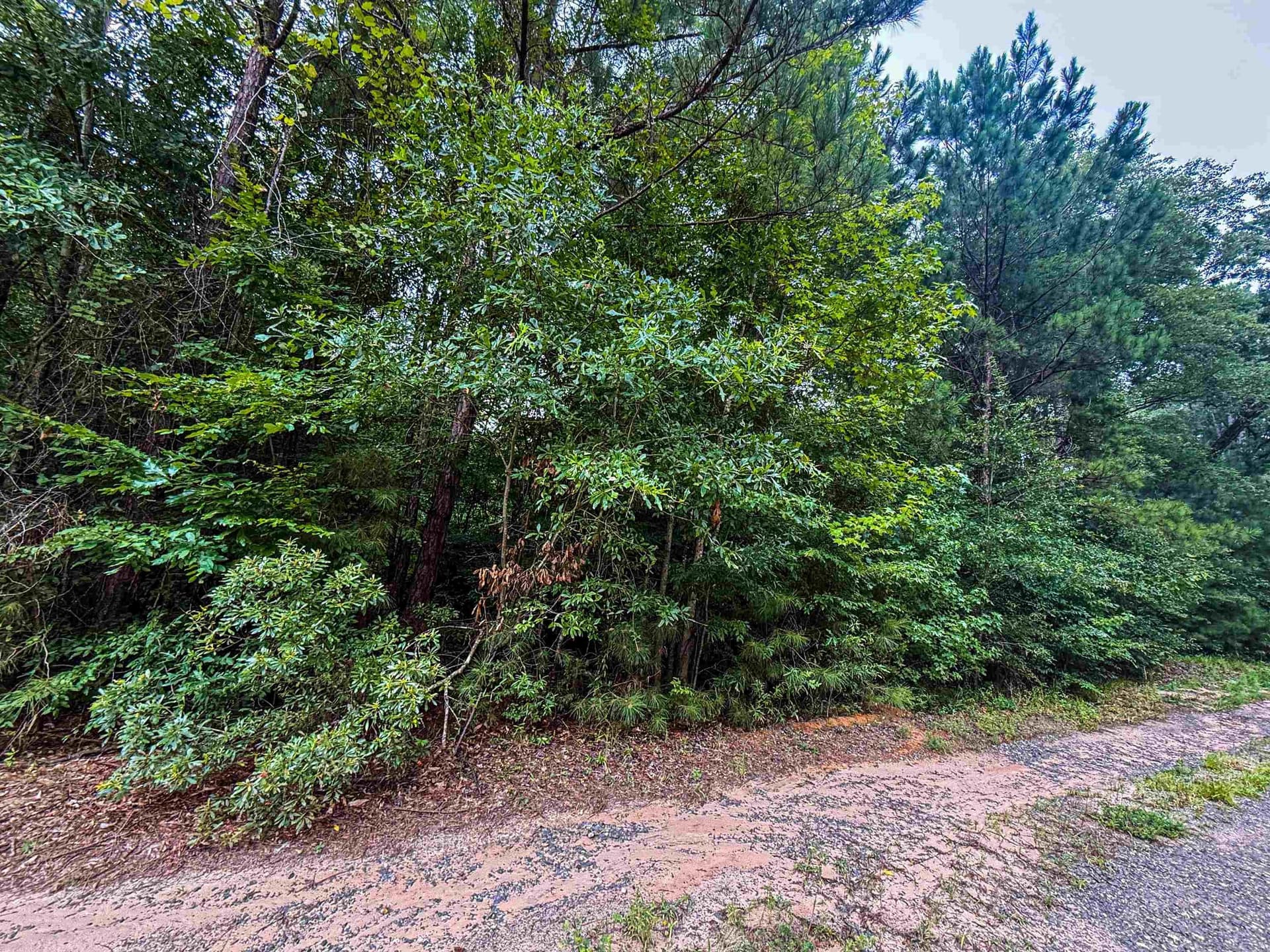 0.28 acres in Texas County gallery image 3