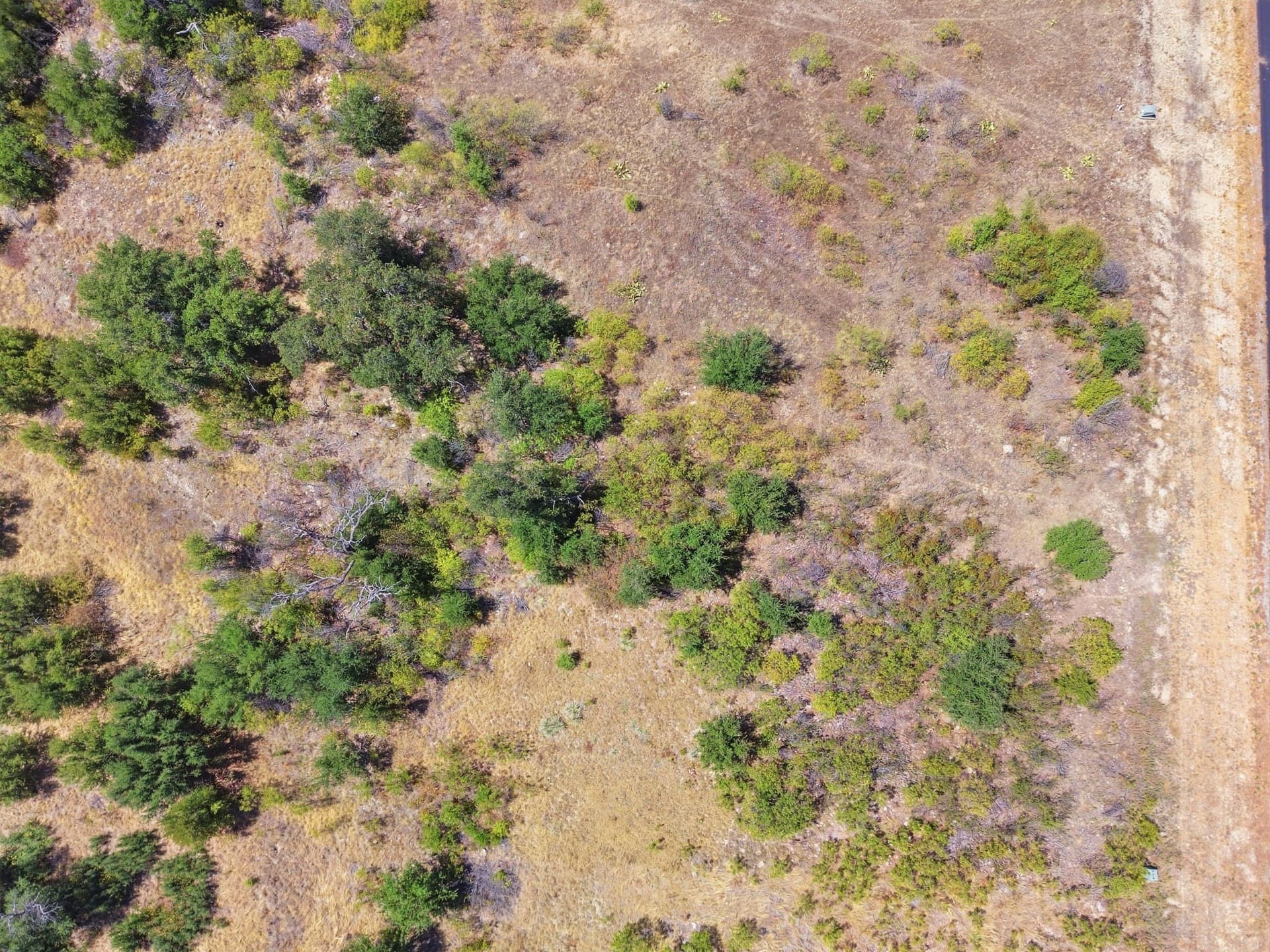 2.01 acres in Palo Pinto County - photo 7
